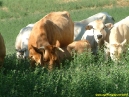 dscf0045
