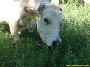 dscf0047